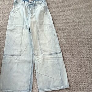 Everlane Blue Carpenter Jeans